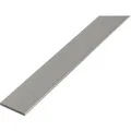 BA-Profil flach Natur 2 mm x 20 mm x 1000 mm