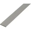 Alberts Ba-profil, Flach, Alu Natur, Lxbxs 1000 X 20x 2 Mm
