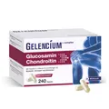 Gelencium Glucosamin Chondroitin hochdosiert mit Vitamin C Kapseln 178.6 g