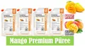 4x MANGO Alphonso Püree 1 kg Cocktails Desserts Gastronomie Fruchtpüree Lecker