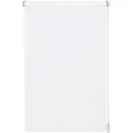 Seitenzugrollo EASYFIX Rollo Uni, GARDINIA, Lichtschutz, ohne Bohren, Klemmfix, Schraubmontage möglich weiß 45 cm x 150 cm