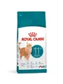 Royal Canin Ageing 11+ Dry Food for Cats 2kg