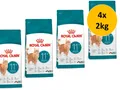 Royal Canin Feline Ageing 11+ | 4x 2kg Katzenfutter Sparpack