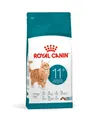Royal Canin Feline Ageing 11+ | 2kg Katzenfutter trocken