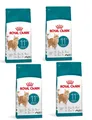 ROYAL CANIN Ageing 11+ für reife Katzen ab 11 Jahren 4x2 kg