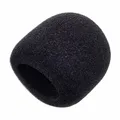 Windscreen WS60