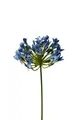 künstlicher Agapanthus Schmucklilie blau 75cm Kunstblume Sommerdekoration