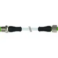 Murrelektronik 7000-40021-2140500 Sensor-/Aktor-Steckverbinder, konfektioniert M12 x 1 Stecker, gerade, Buchse, gerade 5.00m