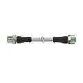 Murrelektronik M12-Stecker 7000-40021-2140500 Rundsteckverbinder M12-Stecker