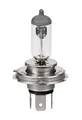 H19 Halogenlampen, 12 V, 60/55 W, Sockel PU43t-3, 1 Stück Scatola