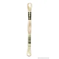 DMC Stickgarn Mouline Special 117MC -ECRU, 6-fädig, 8m