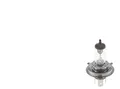 1x BOSCH H4 Glühlampe Fernlicht 12V 60/55W P43t Halogen 1 987 301 410