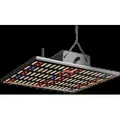 Caluma LED Grow Lampe Force 150 W, 38x38x7cm, 2,7 μmol/J, 405 μmol/s