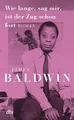 Wie lange, sag mir, ist der Zug schon fort James Baldwin