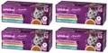 WHISKAS 1+ Aromatische Auswahl Multipack Katzennassfutter in Sauce 4x40x85g