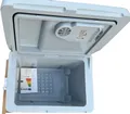 AREBOS Kühlbox 40L Auto Thermoelektrische Warmhaltebox 12V/230V Grau NEU