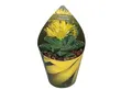 Exotenherz Kaktus Faucaria tuberculosa - Tigerrachen - Rarität - 6,5cm Topf - 15cm hoch