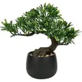 Kunstpflanze Bonsai Baum Podocarpus 25 cm Keramiktopf Schwarz-3