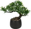 Künstlicher Bonsai Baum 25cm Podocarpus Kunstbonsai Schwarz-3