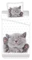 Carbotex Bettwäsche Katze - Bettwäsche-Set mit Katzenbaby-Motiv, 135x200 & 80x80 cm, Baumwolle, 100% Baumwolle