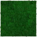 Jangal Wandpaneel Modular Wall Nature Green Moos 52 x 52 cm