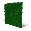 JANGAL Modular Wall Nature Moos Paneel (52 x 52 cm), Modulares Wandpaneel, mit recyceltem PET-Filz, zum Kleben oder Schrauben, Wandverkleidung, Wand Deko, Mooswand (Nature Green Moos)
