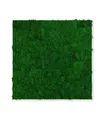 JANGAL Modular Wall Mooswand  520 x 520 mm Echtmoos Nature Green Moos