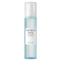 Skin1004 Madagascar Centella Hyalu-Cica Cloudy Mist (120 ml) (8809913830191)