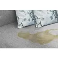 Westfalia Captain Clean Urin Ex Reiniger 650 ml