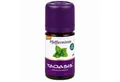 TAOASIS GmbH Natur Duft Manufaktur Duftöl TAOASIS PFEFFERMINZE Öl Bio 5ml PZN 04523901