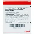 ATP Injeel forte Ampullen 10 St