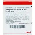 ATP Injeel forte Ampullen 10 St Ampullen