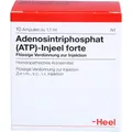 ATP Injeel forte Ampullen 10 St PZN01813478