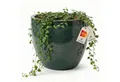 Teramico Blumentopf Pflanzgefäß "Egg Pot" Moosgrün – Ø 21 bis 48 cm – Frostfest (1 St), Frostfest, UV-Fest