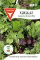 FRANKONIA Gemüsesamen Asiasalat, Japanese Greens Mix - Saatgut Asia-Salat-Samen Samen, Brassica juncea