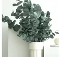 Trockenblume Eukalyptus, LYKKE & You