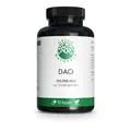 Green Naturals Dao 100mg Veg.zum Histaminabbau Kps 90 St