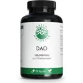 Green Naturals DAO 100 mg vegan zum Histaminabbau