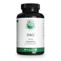 GREEN NATURALS DAO 100 mg vegan zum Histaminabbau