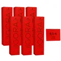 Schwarzkopf Igora Royal 6 x 60 ml 9,5-4 beige Haarfarbe Cremefarbe Set