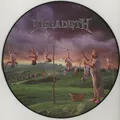 Megadeth - Youthanasia (Vinyl LP - 1994 - CZ - Reissue)