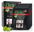 DeXe Group Haarshampoo DeXe Black Hair Shampoo Schwarz Färbendes Shampoo 10x 25ml
