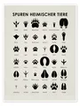 Poster Spuren heimischer Tiere I - Iris Luckhaus