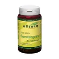 allcura Gerstengras Bio Tabletten