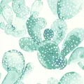 Rasch Textil Greenhouse Tapete 138901 Kaktus Kakteen cremeweiß Vliestapete Vlies
