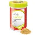 EQUITOP Gonex Granulat vet. 750 g PZN 589748