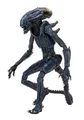 Alien vs Predator Arachnoid Alien 7'' Scale action figur Neu