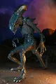 NECA ALIENS - ARACHNOID ALIEN - ACTION FIGUR - NEU/OVP