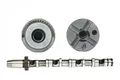 Nockenwelle Einlassseite CM05-2190 FRECCIA für AUDI VW SKODA