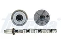 FRECCIA Nockenwelle CM05-2190 für SKODA PASSAT SUPERB ALLROAD 3B6 3U4 AUDI VW A6